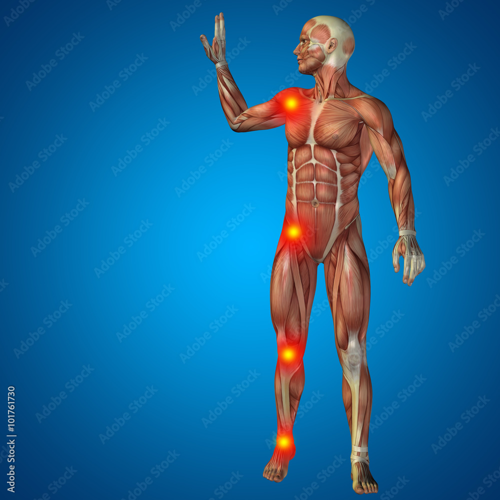 Φωτογραφία Conceptual 3D human man anatomy joint pain body on blue background