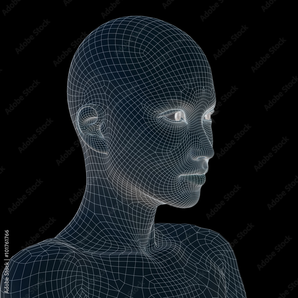 Conceptual 3D wireframe human female or woman face or head Stock Illustration | Adobe Stock