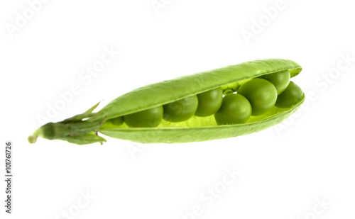 a pea green is in a pod