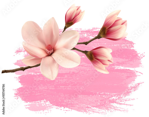 Fototapeta Naklejka Na Ścianę i Meble -  Pink paint magnolia branch banner. Vector.