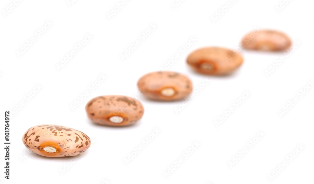 Beans Beans