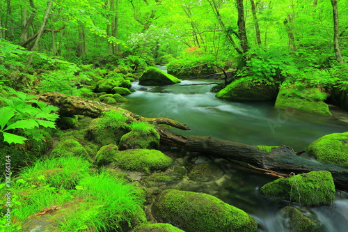  青森県十和田　夏の奥入瀬渓流  © yspbqh14