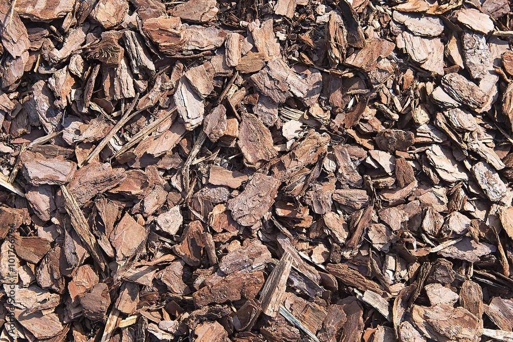 Tree bark pieces background texture Tree bark pieces background texture