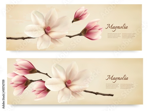 Fototapeta Naklejka Na Ścianę i Meble -  Two retro beautiful magnolia banners. Vector.