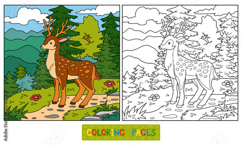 Coloring book for children (deer and background)