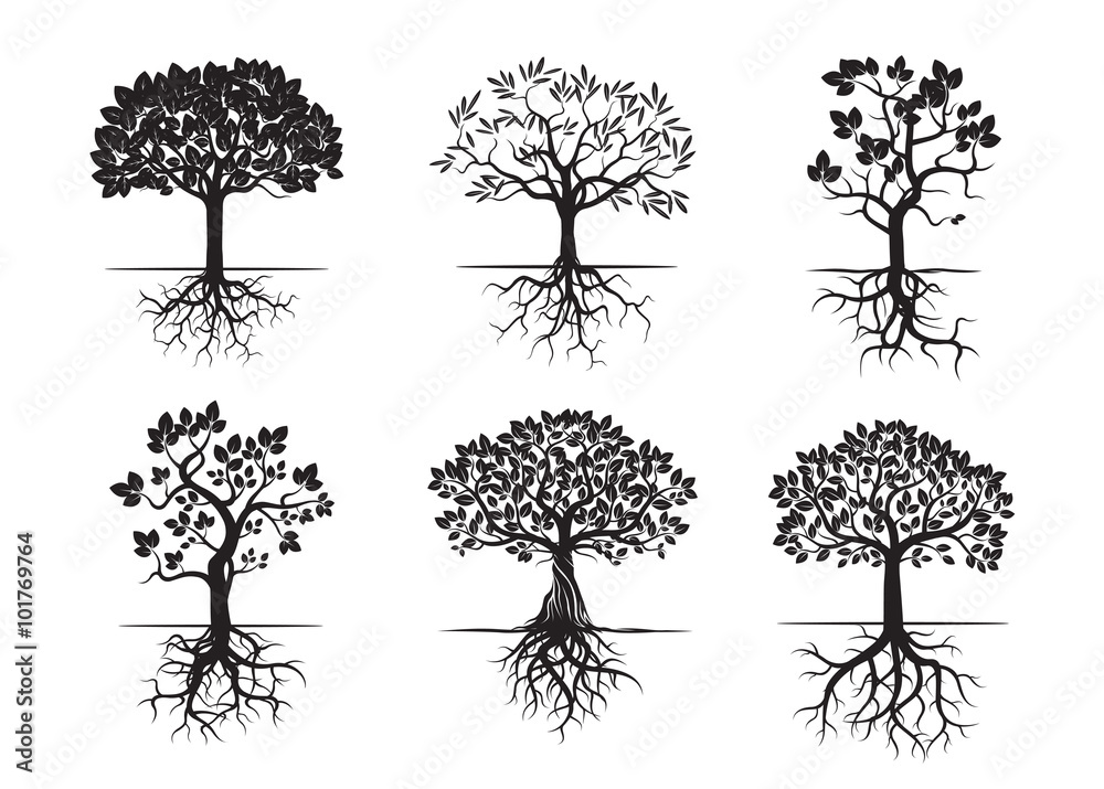 Collection of Black Trees and Roots. Vector Illustration.