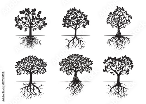 Collection of Black Trees and Roots. Vector Illustration.