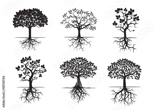 Collection of Black Trees and Roots. Vector Illustration.