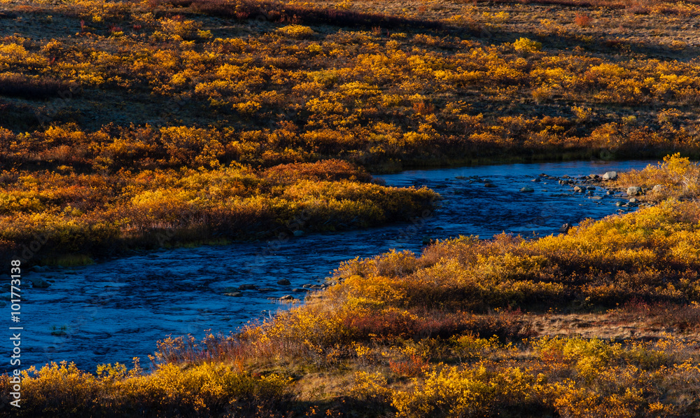 Fall tunda stream Fall tunda stream