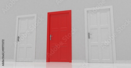 3d door render vote concept