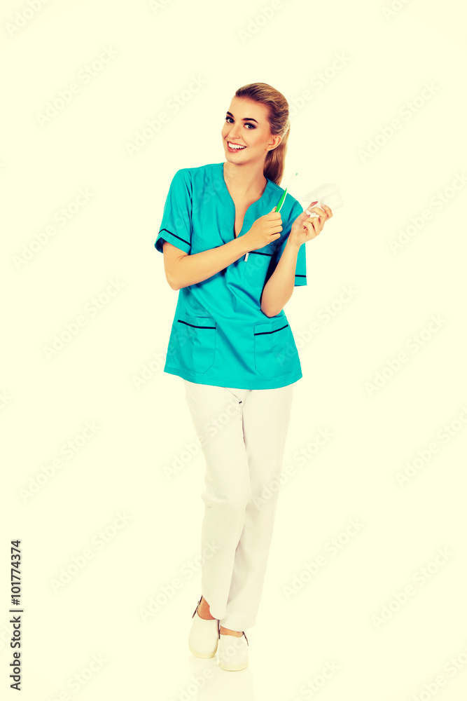 Young smile dentist holding a tooth model Young smile dentist holding a tooth model