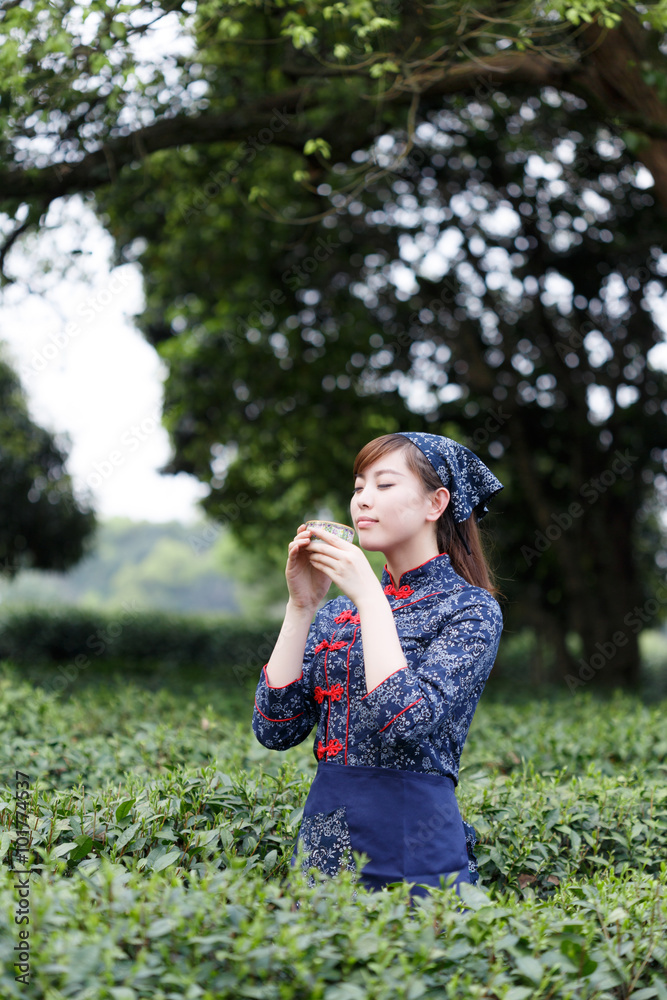 asian pretty tea-picking girl in plantation asian pretty tea-picking girl in plantation