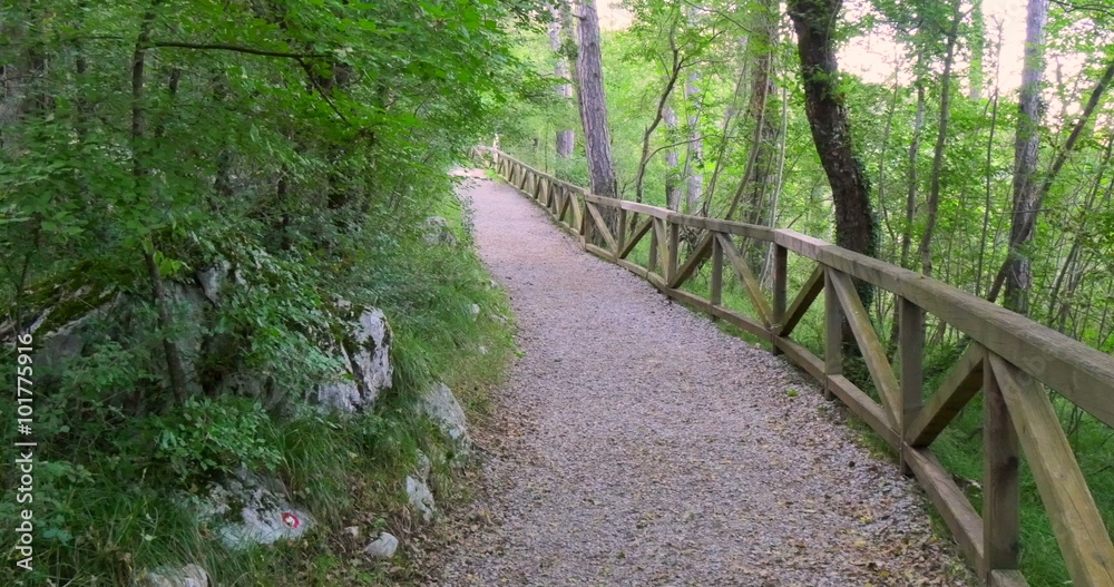 Famous Via Alpina footpath in Skocjan park, Slovenia.