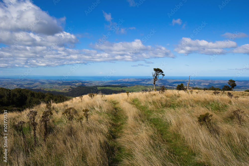 Bell Rock Track across hill tops in Maungaharuru Range, Hawkes Bay, New Zealand Bell Rock Track across hill tops in Maungaharuru Range, Hawkes Bay, New Zealand