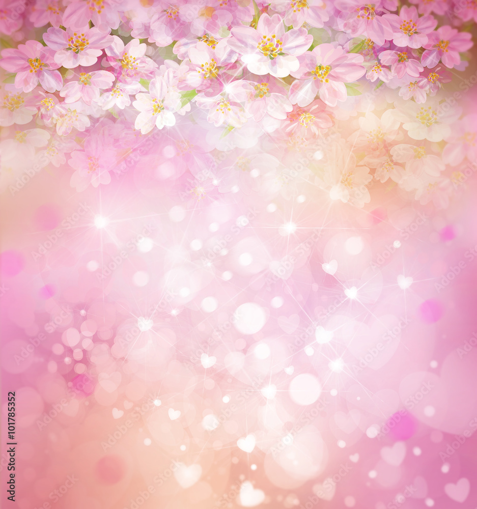 Blossoming sakura tree, floral, spring, bokeh background.