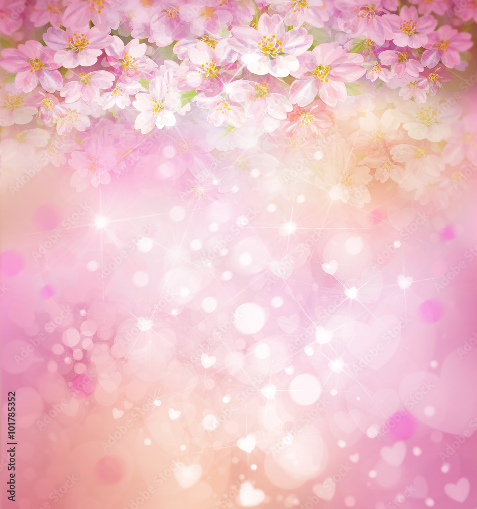 Blossoming sakura tree, floral, spring, bokeh background. Blossoming sakura tree, floral, spring, bokeh background.