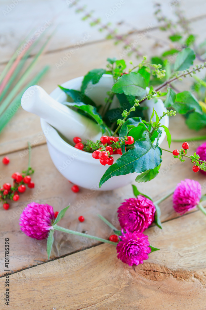 Fresh herbs in the mortar, alternative medicine Fresh herbs in the mortar, alternative medicine