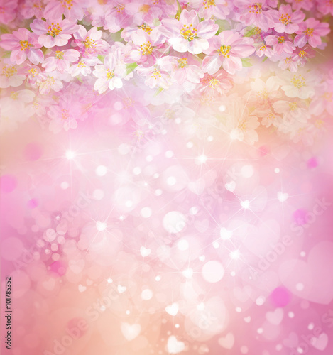 Blossoming sakura tree, floral, spring, bokeh background.