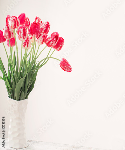 Fototapeta Naklejka Na Ścianę i Meble -  tulips on white background
