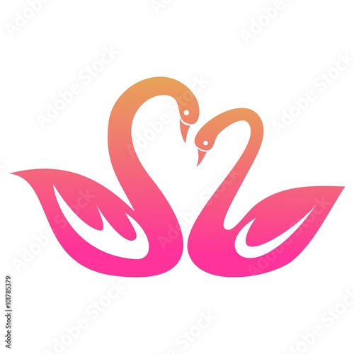Swan Love Pink Color