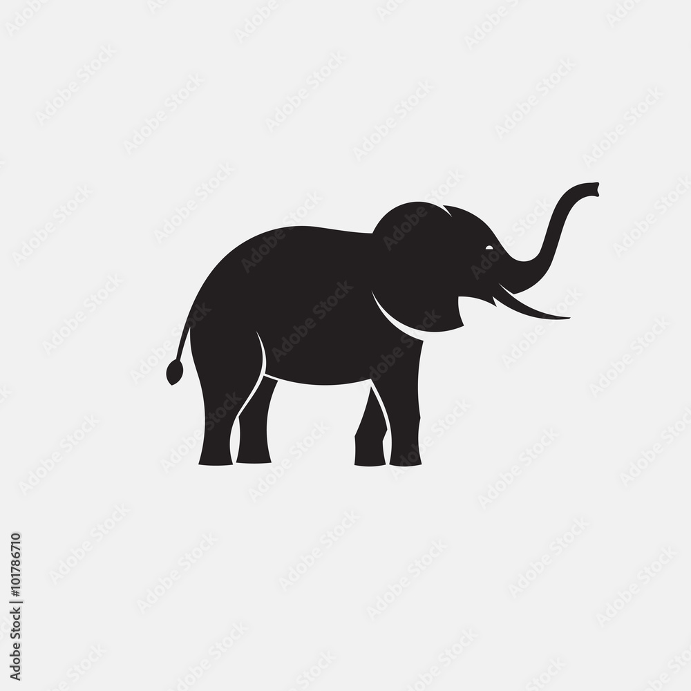 Fototapeta premium elephant minimal silhouette