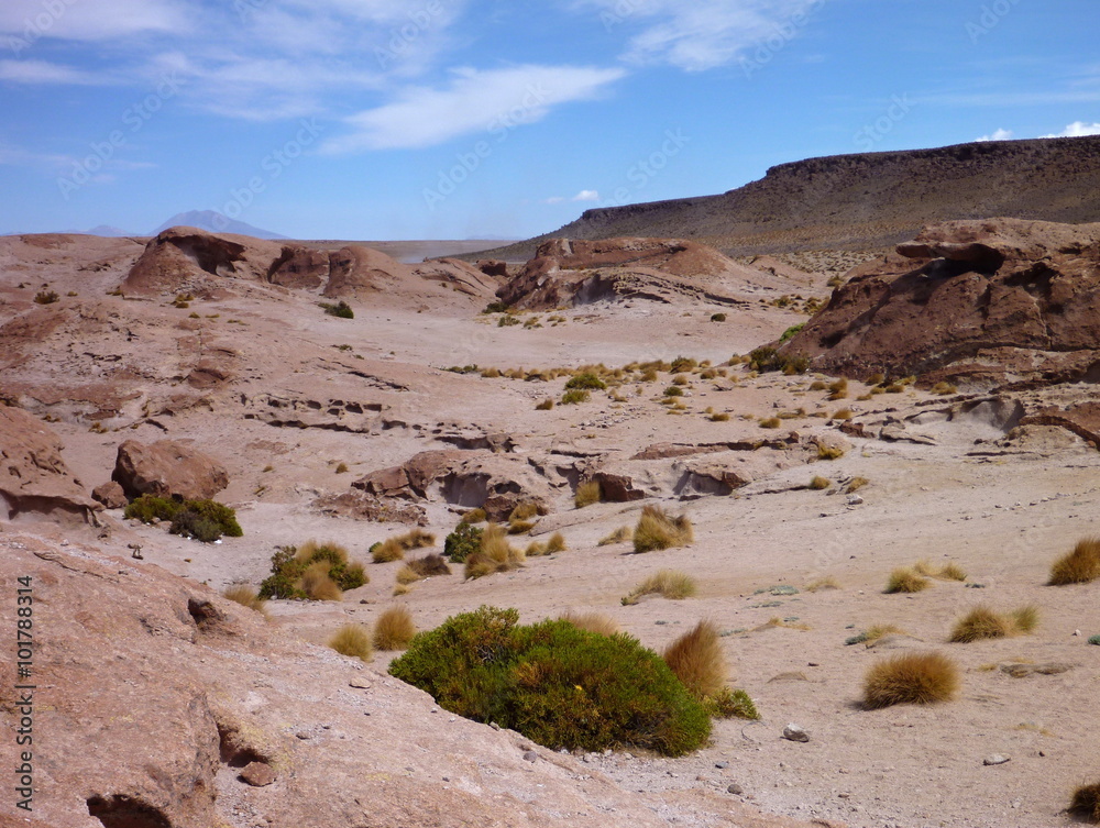 altiplano desert with colorful rock formations