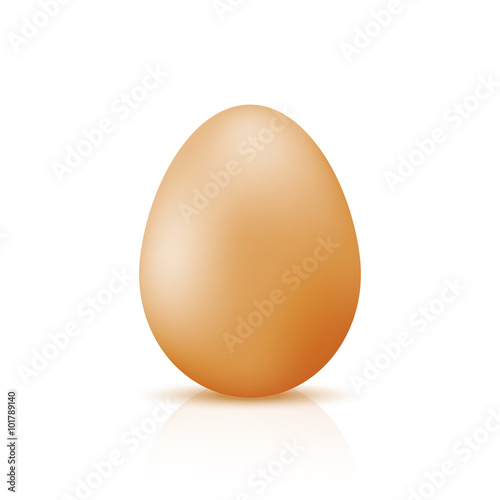 Realistic egg on white background
