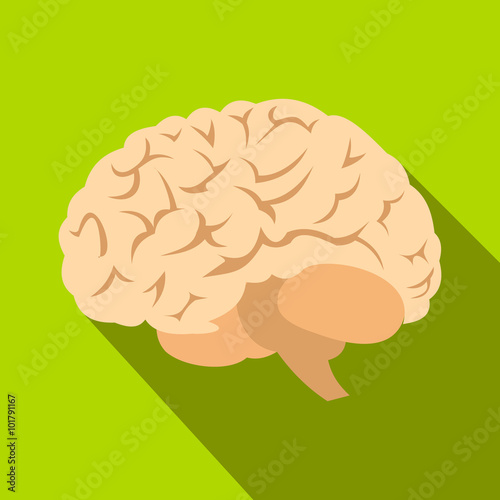 Human brain flat icon with shadow 