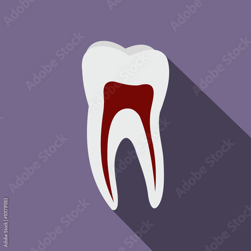 Human tooth flat icon