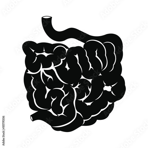 Small intestine black icon