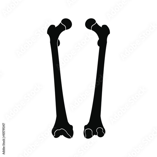 Photography Rib black icon