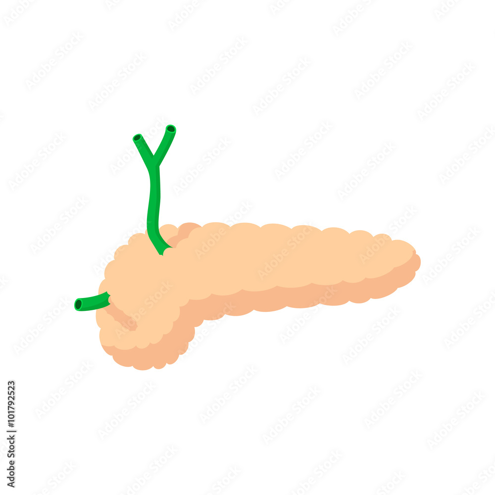 Fotografie Human pancreas cartoon icon
