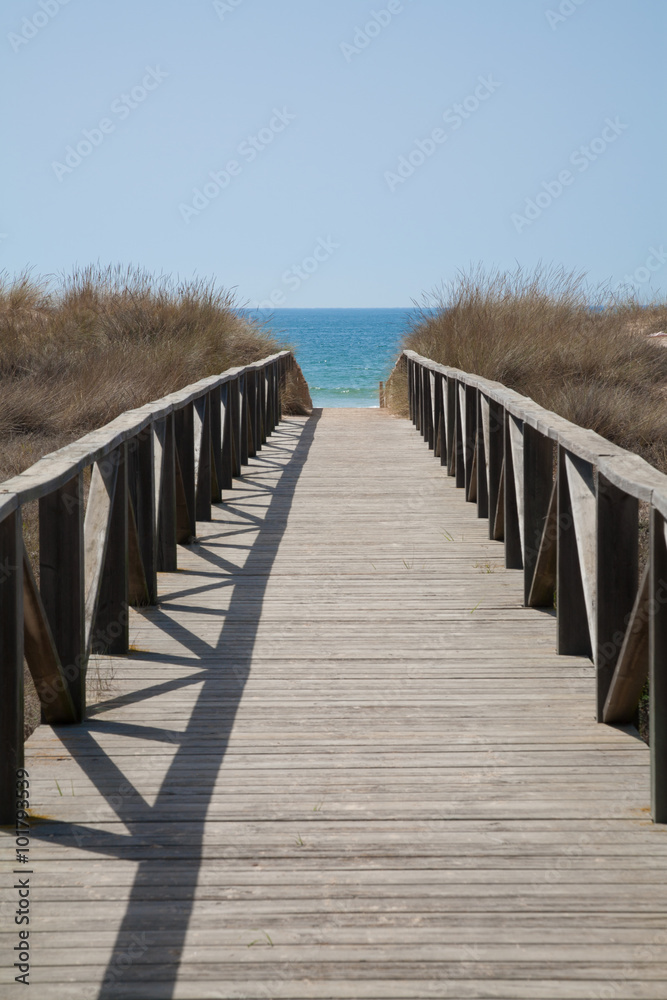 Naklejka premium wooden way to ocean vertical