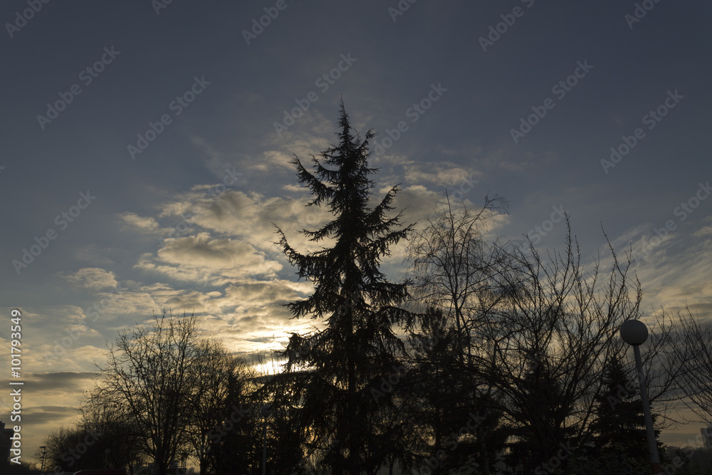 Cloudy sunrise scene Cloudy sunrise scene