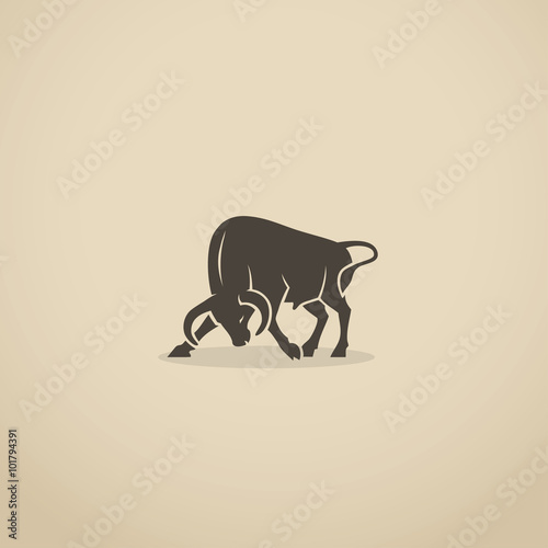 Fighting bull