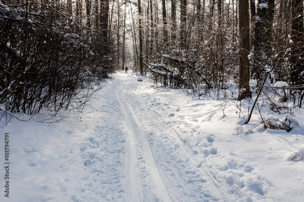 Landscape of the winter forest. Landscape of the winter forest.