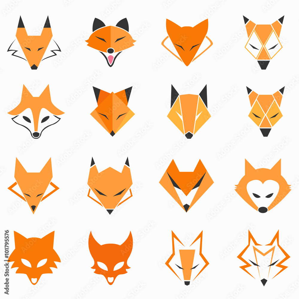 Foto Fox Face