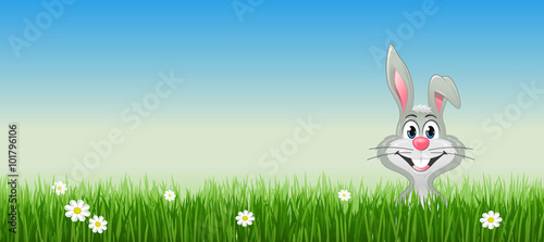 Easter bunny hiding in grass 