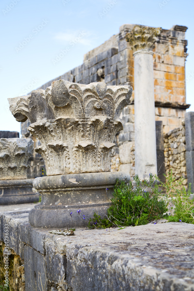 volubilis in morocco africa the   deteriorated monument and site