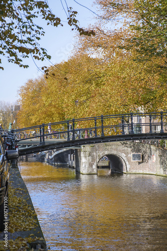 Bridge over the canal in Amsterdam with yellow trees in autumn