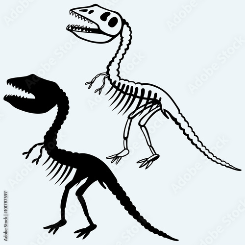 Tyrannosaurus skeleton. Isolated on blue background. Vector silhouettes
