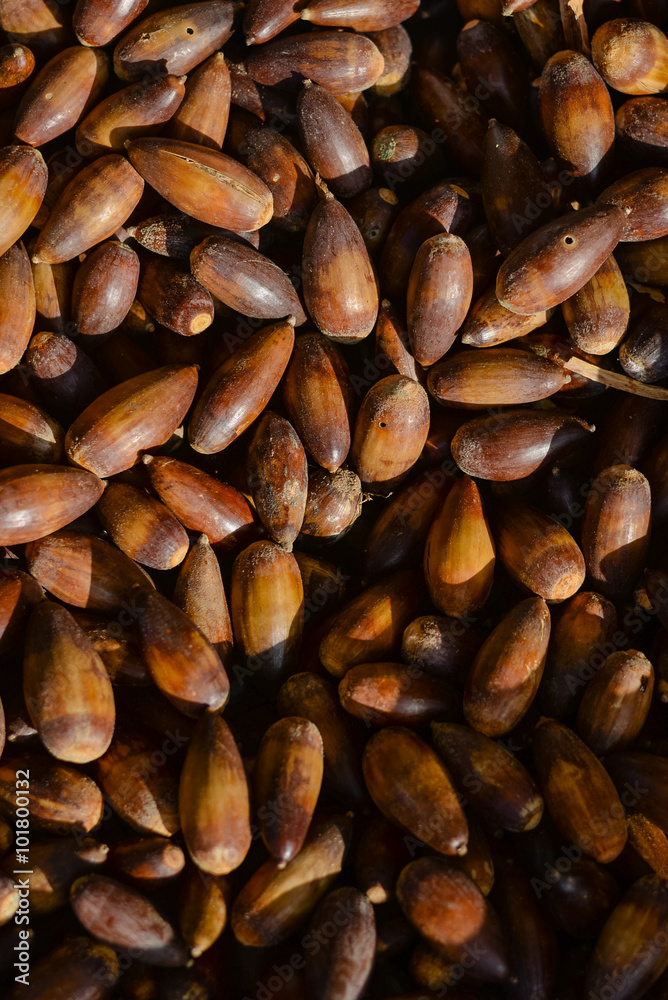 Sweet acorns closeup on market stall Sweet acorns closeup on market stall