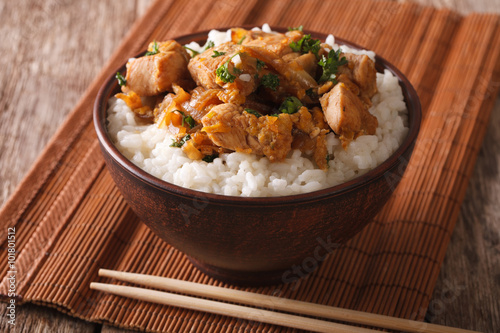 Homemade oyakodon and rice close-up in a bowl. horizontal 