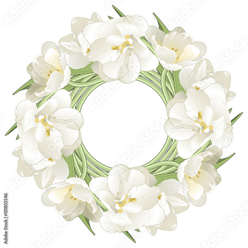 Flower wreath of tulips