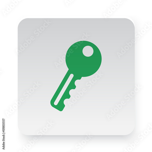 Green Key icon in circle on white app button