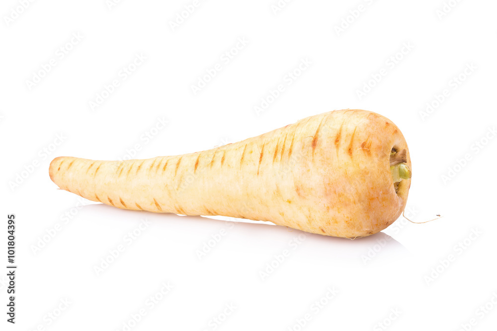 Fresh parsnip roots on a white background Fresh parsnip roots on a white background