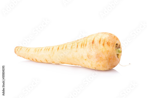 Fresh parsnip roots on a white background photo