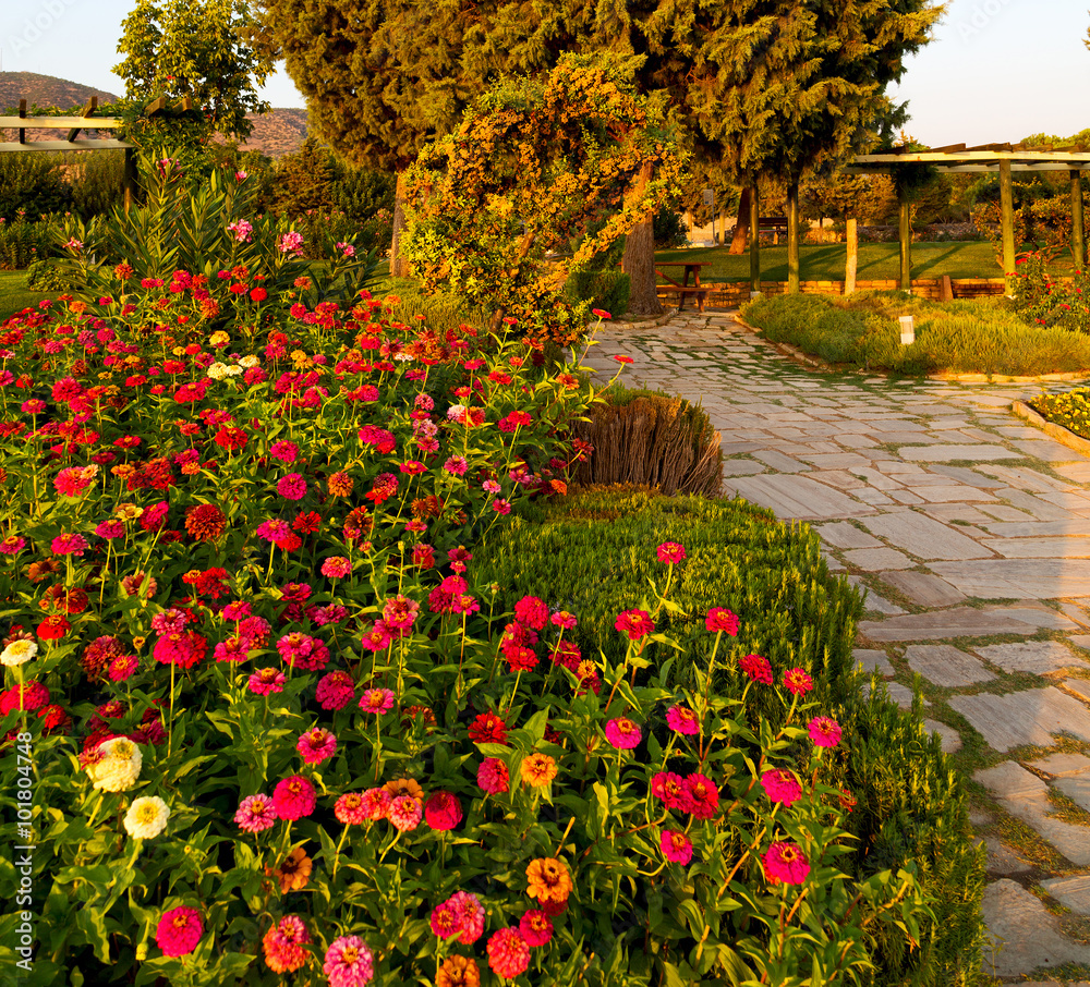 olf colors  garden in pamukkale turkey trees and flower and the