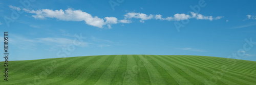 Tableau sur toile Green Field and blue sky on Horizon