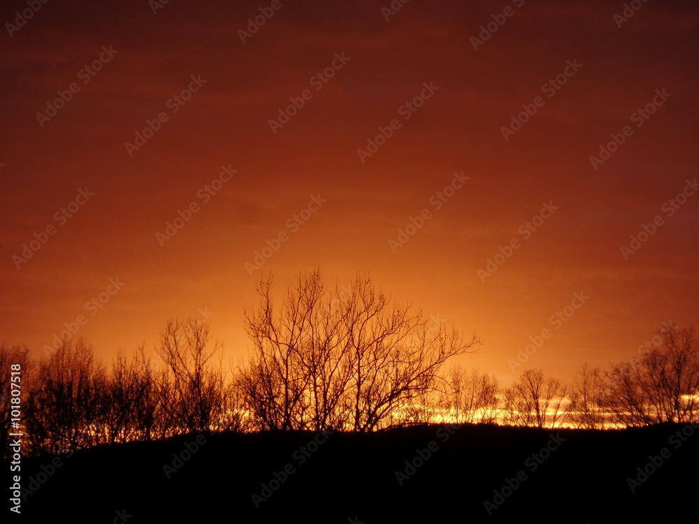 Obraz premium Orange Sunset